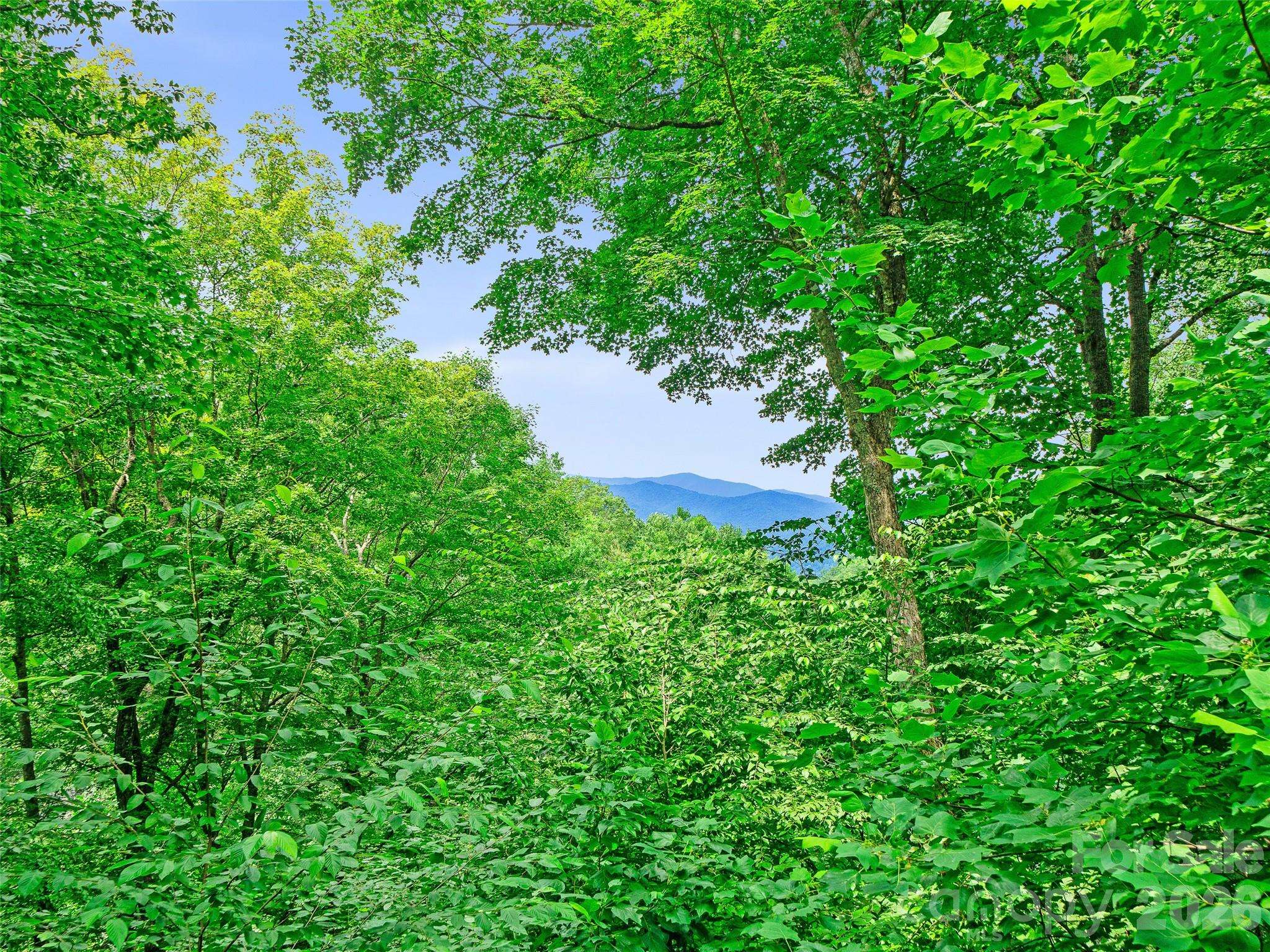 140 Falls Crossing RD, Burnsville, NC 28714