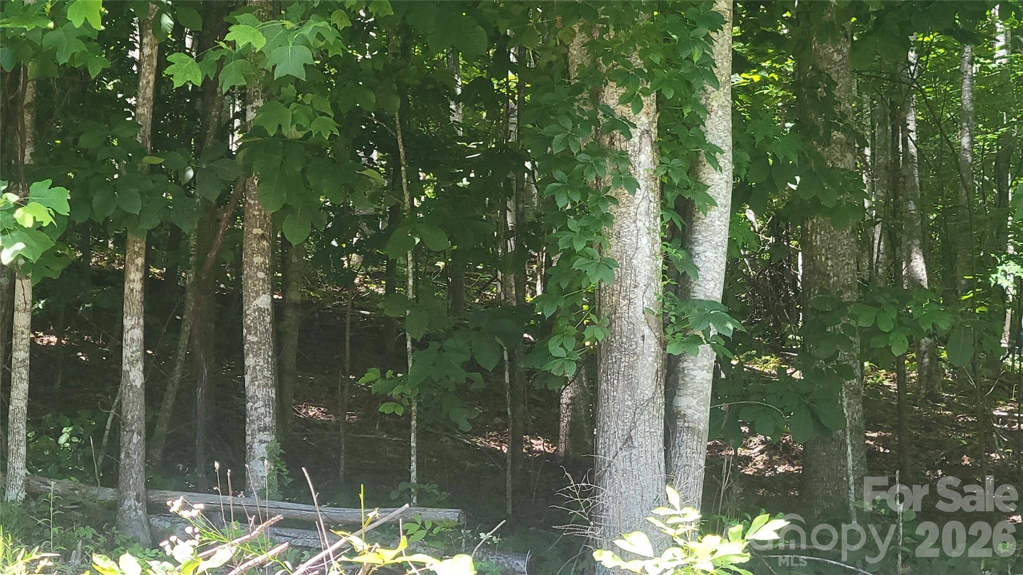 Lots 16, 17 &23 Wildwood Acres DR, Burnsville, NC 28714