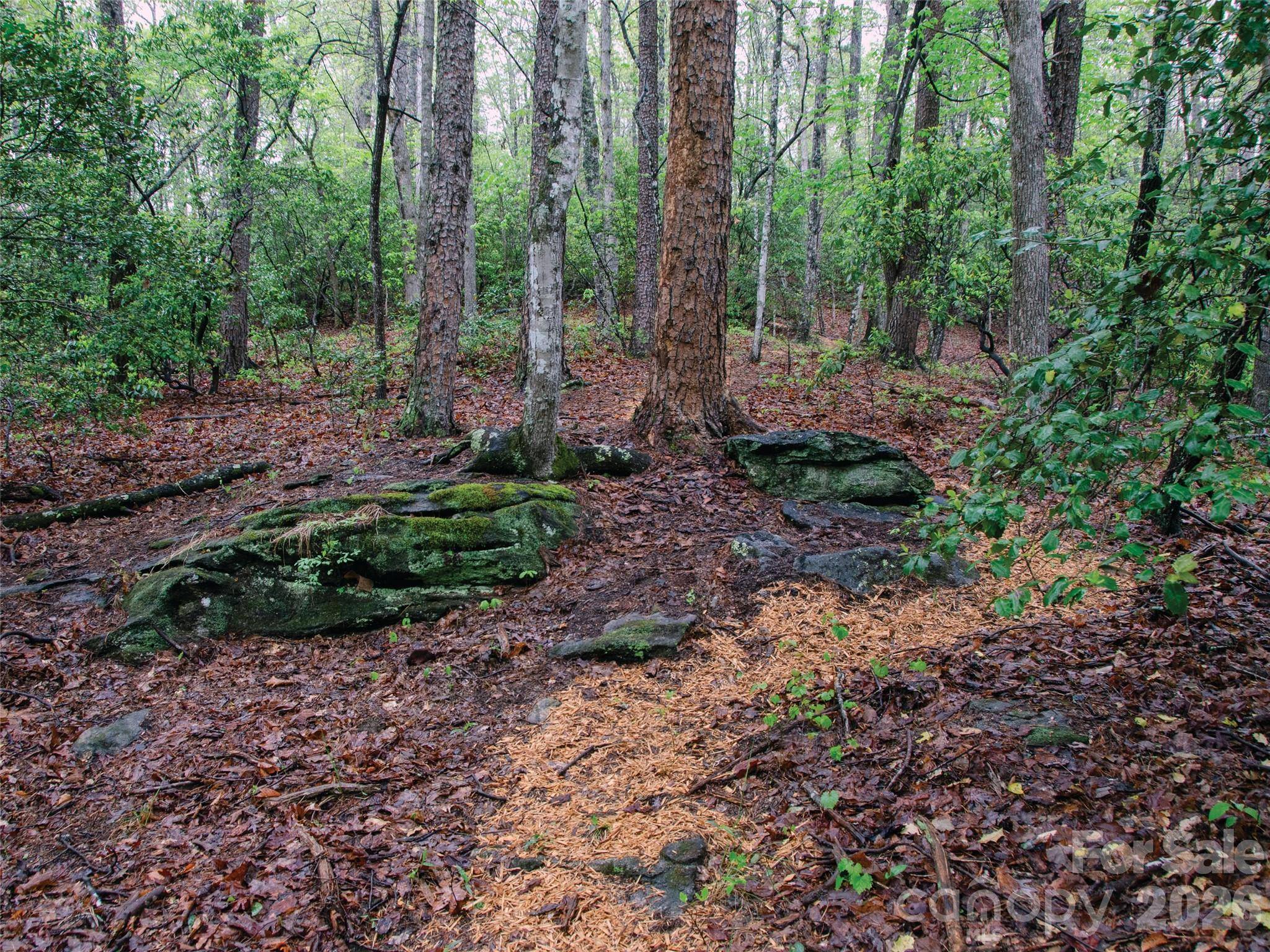 00000 Shady Bark LN #43 & #44, Rutherfordton, NC 28139