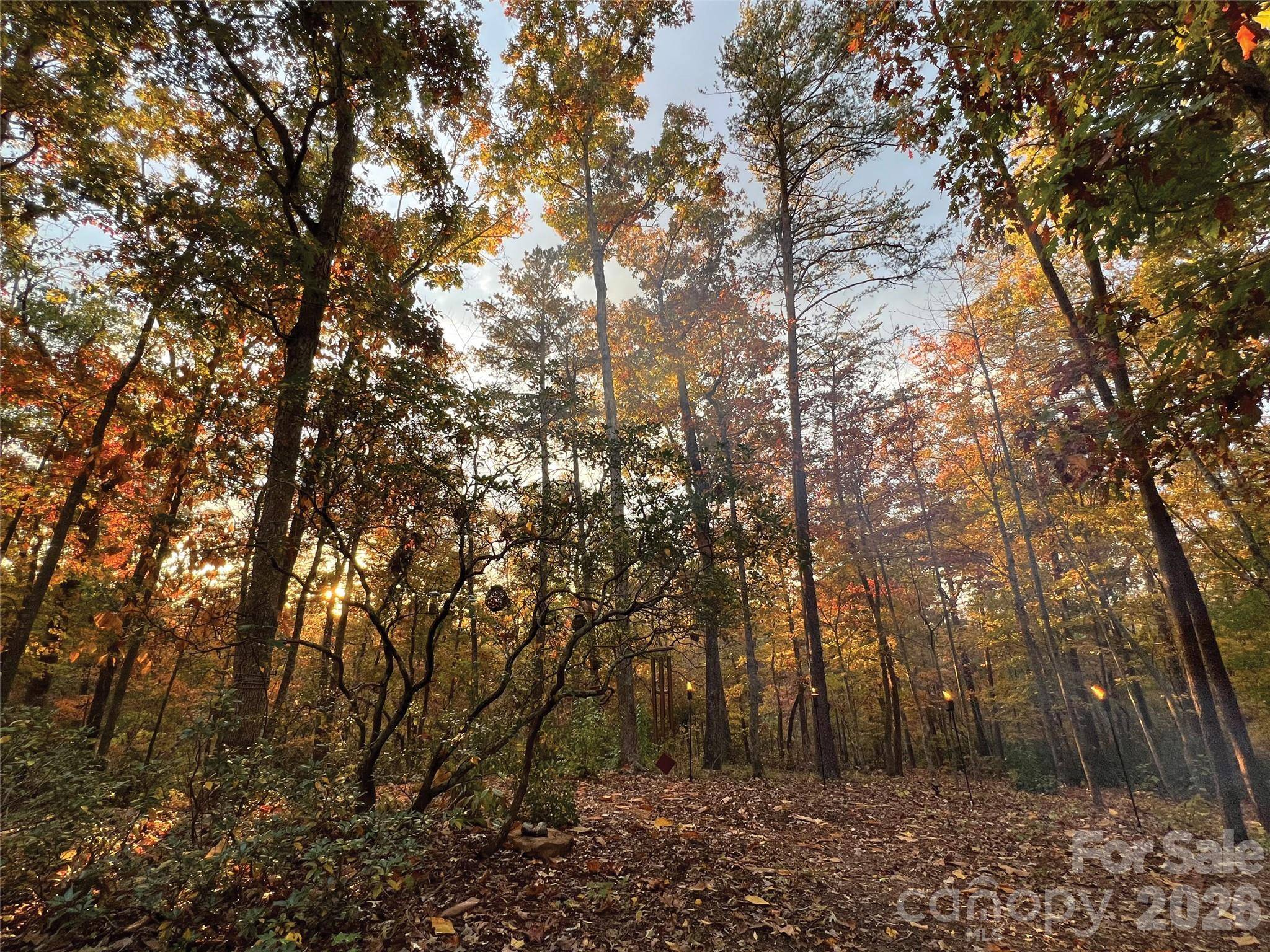 00000 Shady Bark LN #43 & #44, Rutherfordton, NC 28139