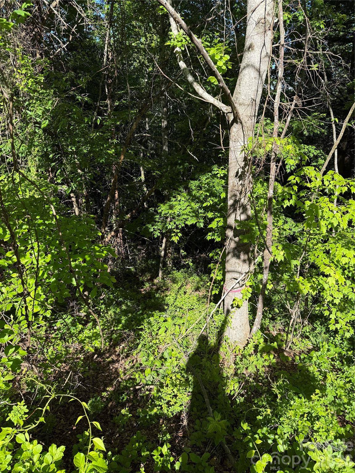 9999 Hunters Ridge RD, Canton, NC 28716