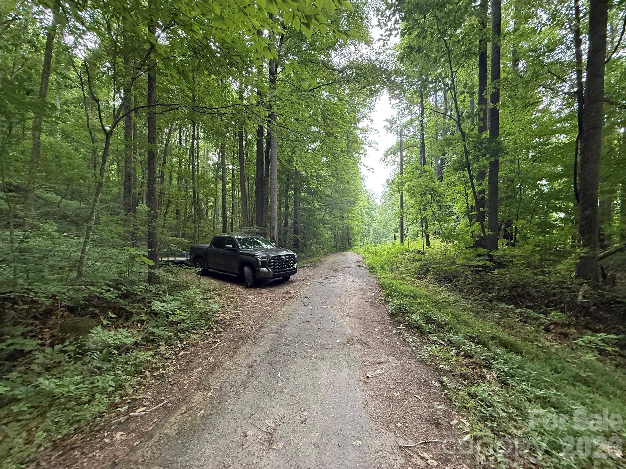 9999 Countryside Estate, Barnardsville, NC 28709