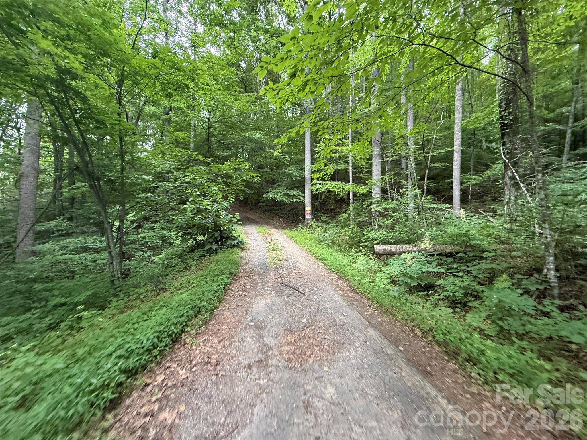 9999 Countryside Estate, Barnardsville, NC 28709