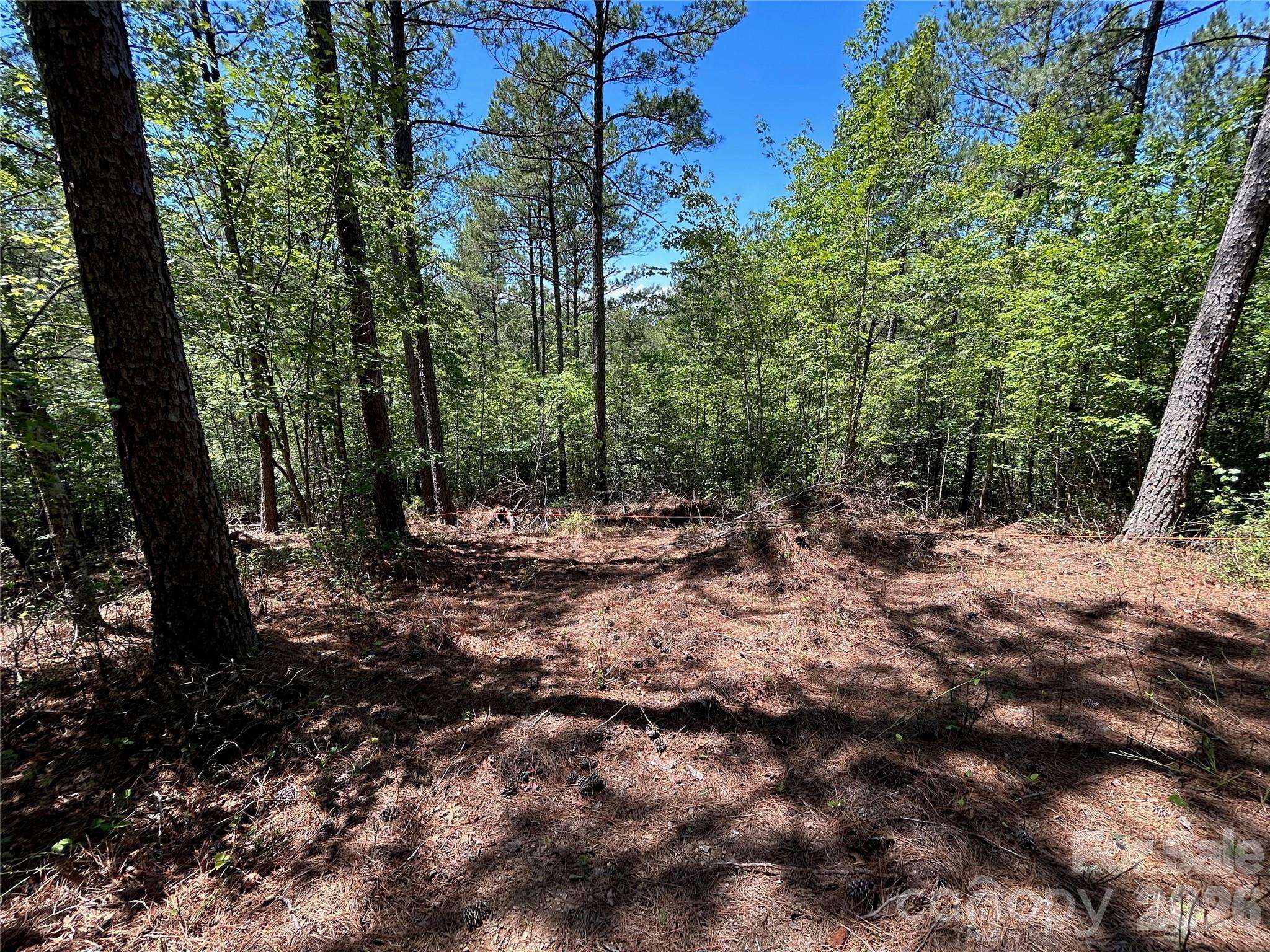 1175 HIDDEN COVE LN, Connelly Springs, NC 28612