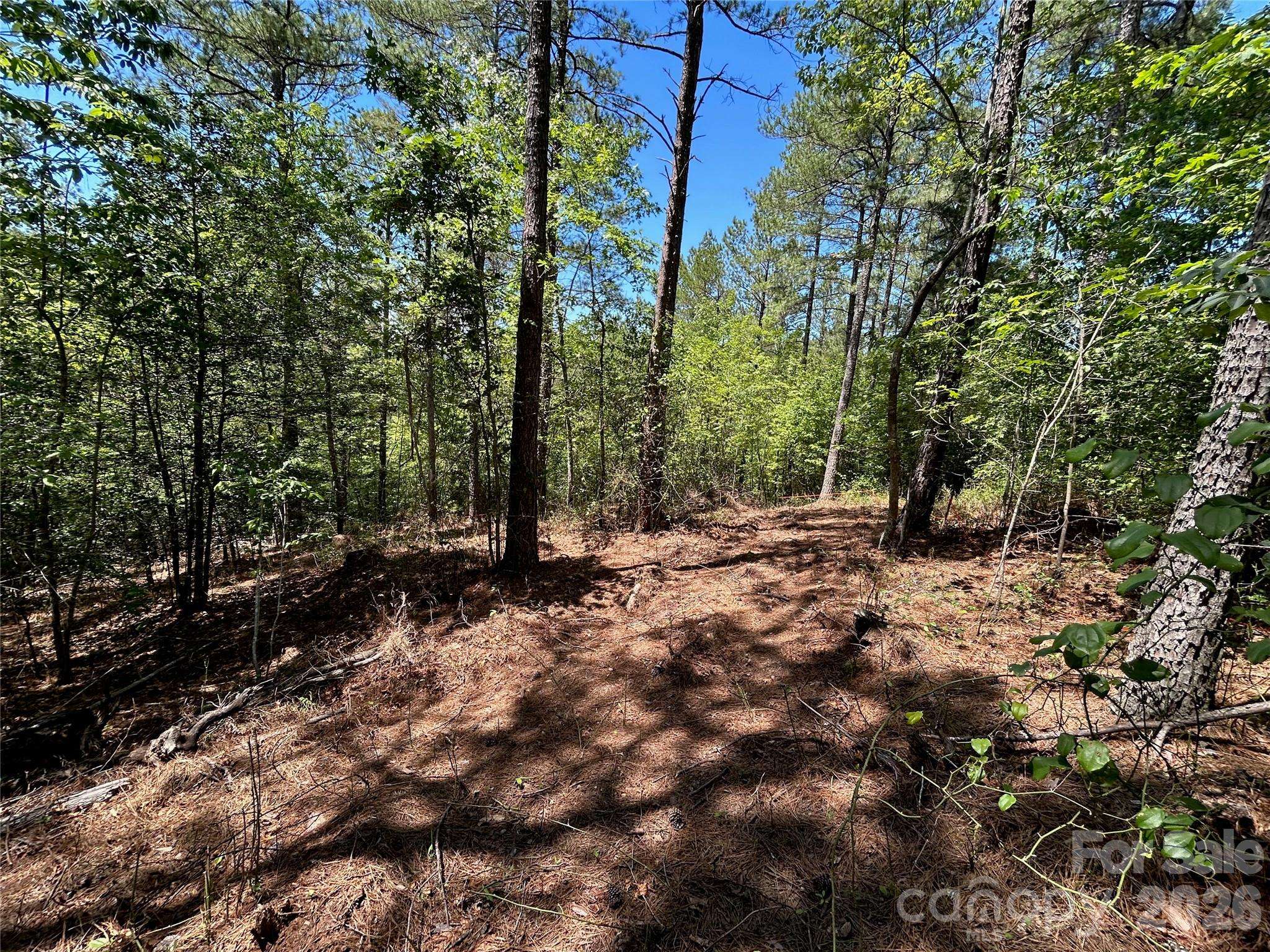 1175 HIDDEN COVE LN, Connelly Springs, NC 28612