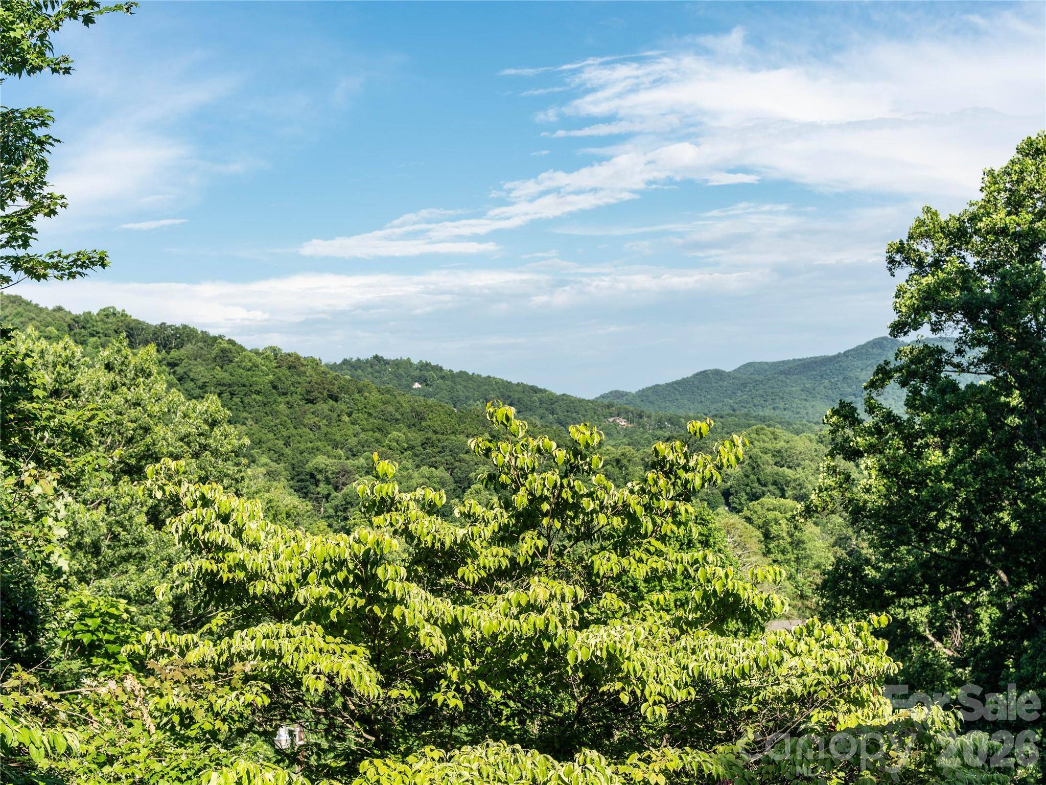 45 Mountain View AVE, Black Mountain, NC 28711