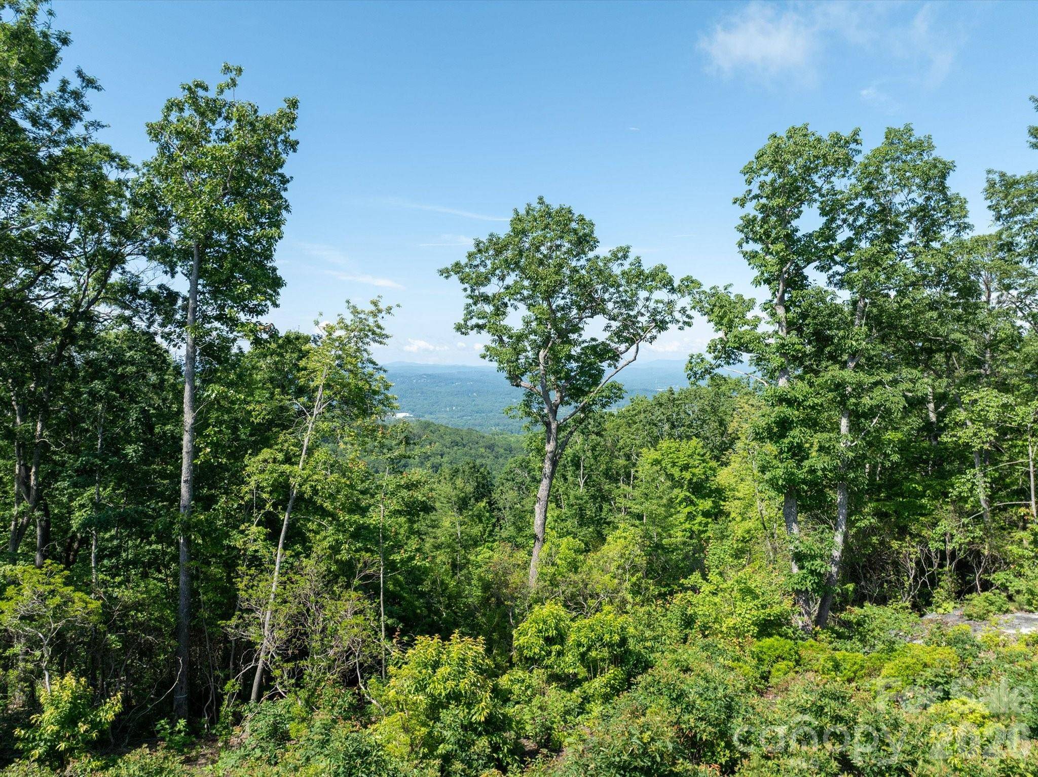 99999 Mountain Grove LN #48, Fletcher, NC 28732