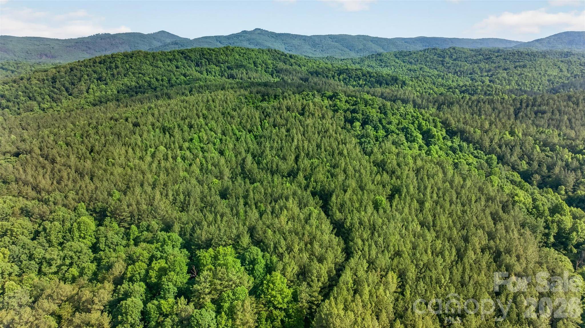 485 Frog Creek RD, Union Mills, NC 28167