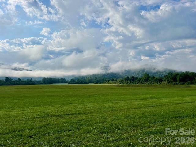 Mini Farm 2 TBD Coventry DR, Brevard, NC 28712