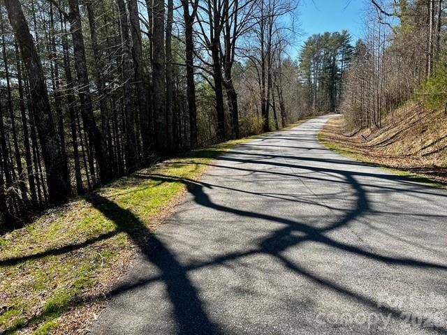 Mini Farm 2 TBD Coventry DR, Brevard, NC 28712