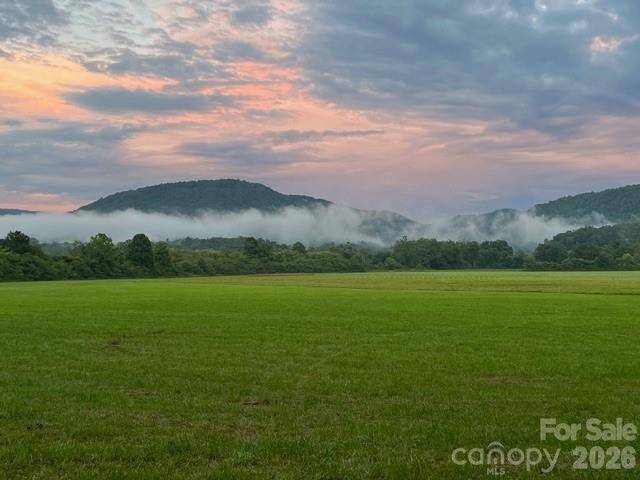 Mini Farm 3 TBD Coventry DR, Brevard, NC 28712