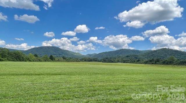 Mini Farm 3 TBD Coventry DR, Brevard, NC 28712