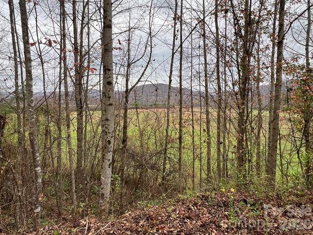 Mini Farm 3 TBD Coventry DR, Brevard, NC 28712