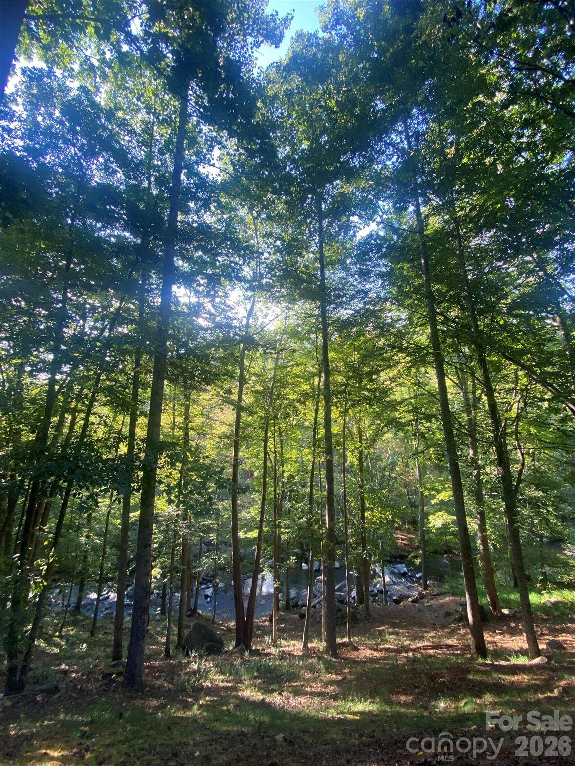39 Rogers Creek DR, Bakersville, NC 28705