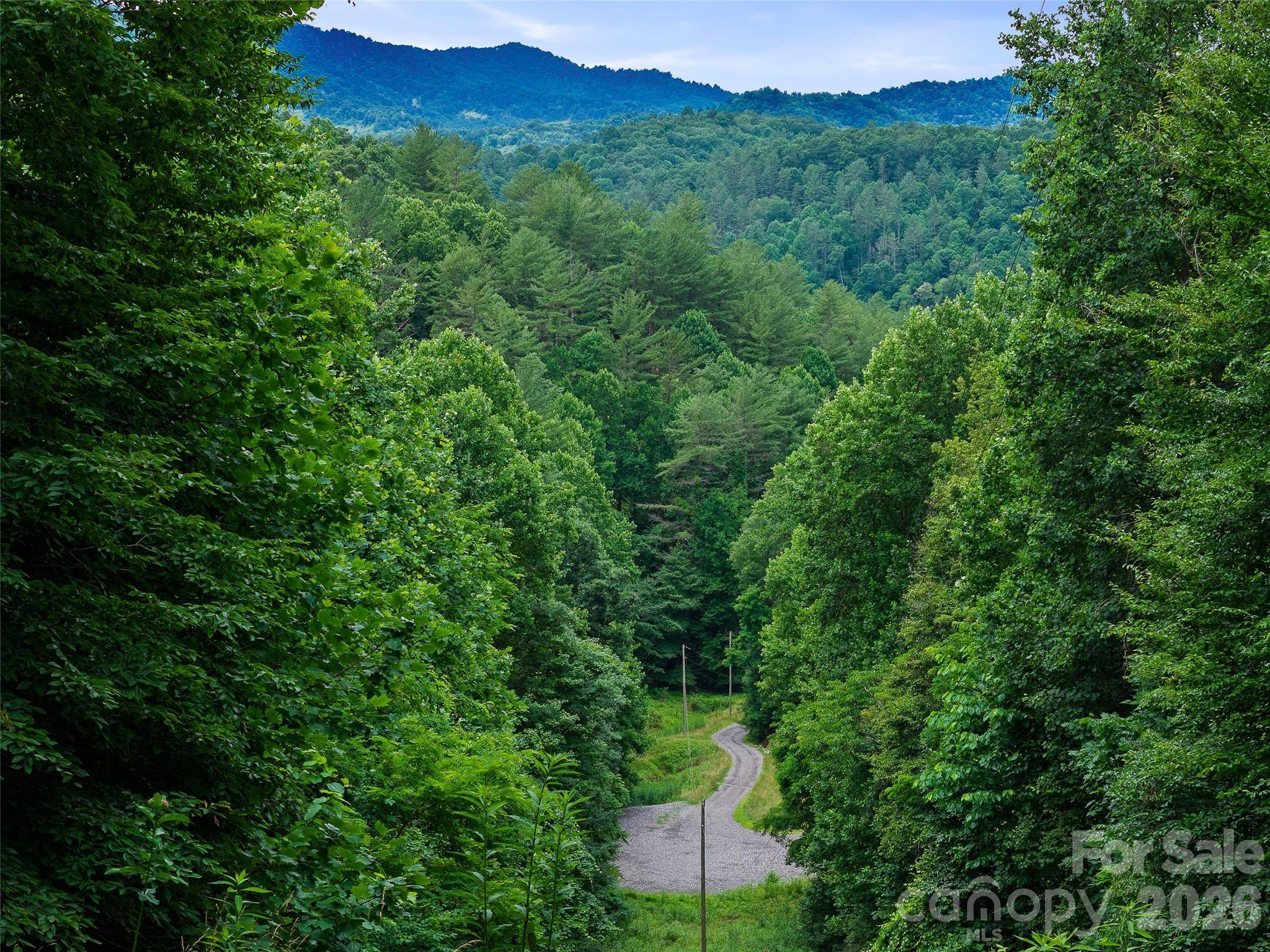 000 Hamlet DR #1, Burnsville, NC 28714