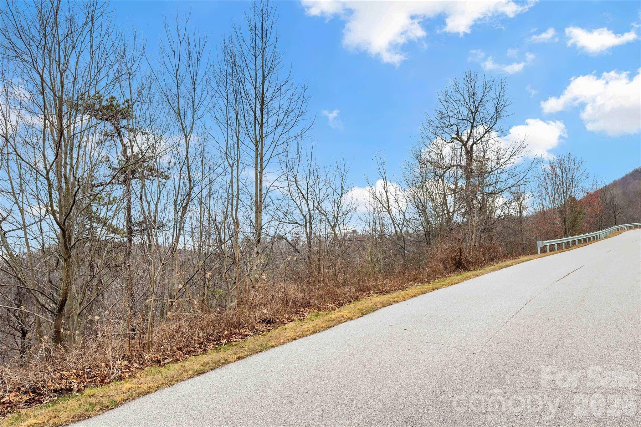 230 Catawba Falls Pkwy, Black Mountain, NC 28711