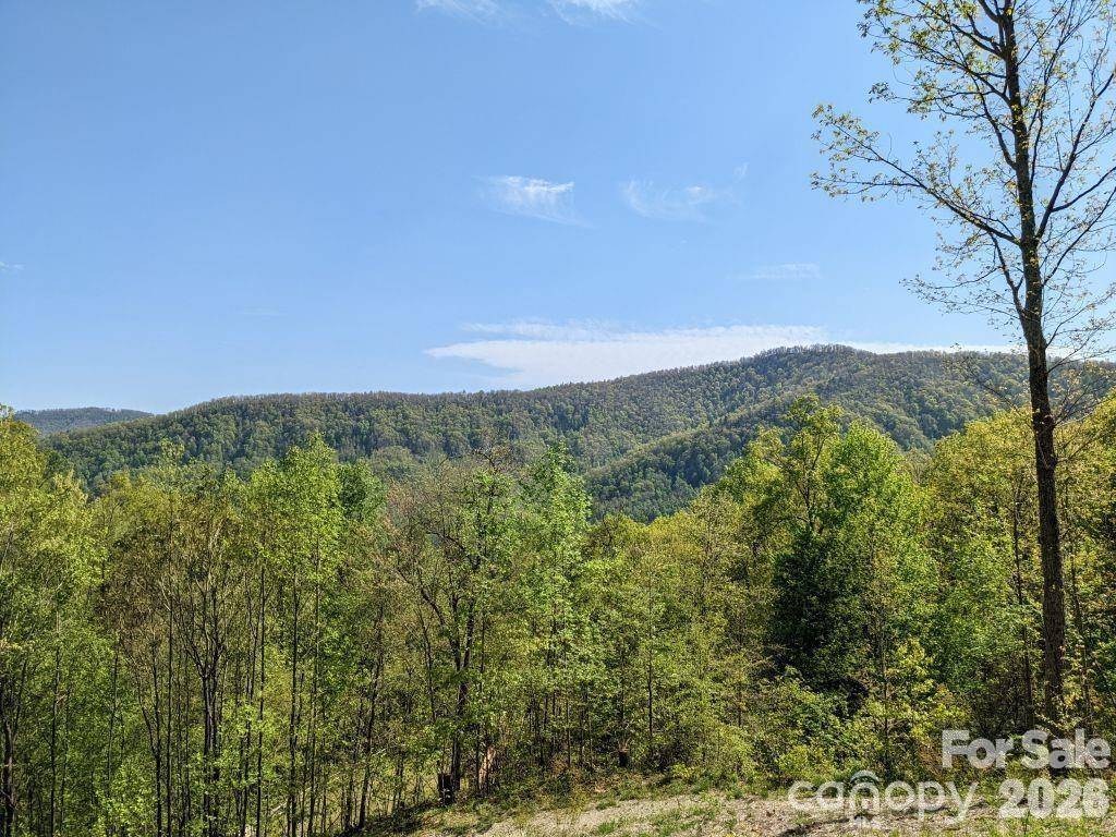 351 Kestrel LN #T-67, Black Mountain, NC 28711