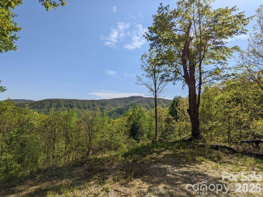 351 Kestrel LN #T-67, Black Mountain, NC 28711