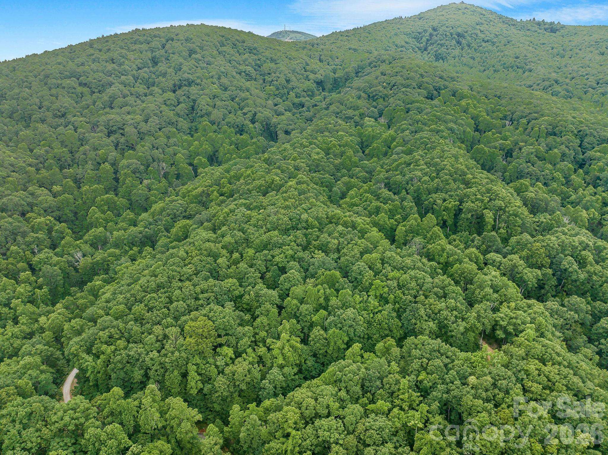8 Carls Cove RD, Black Mountain, NC 28711