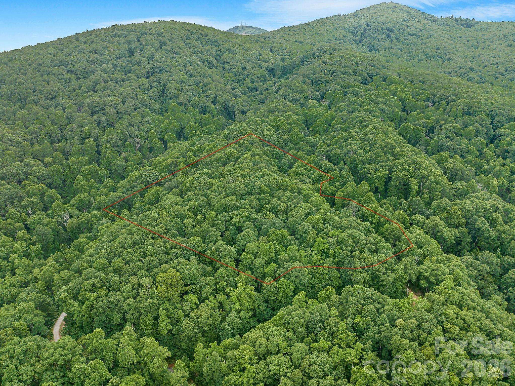 8 Carls Cove RD, Black Mountain, NC 28711