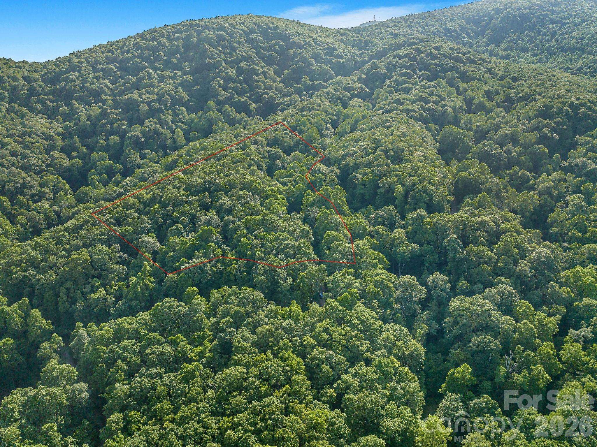 8 Carls Cove RD, Black Mountain, NC 28711