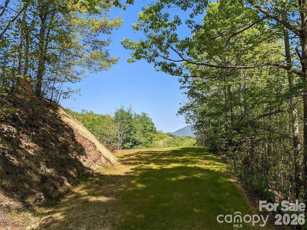 171 Nuthatch LN #C-30, Black Mountain, NC 28711