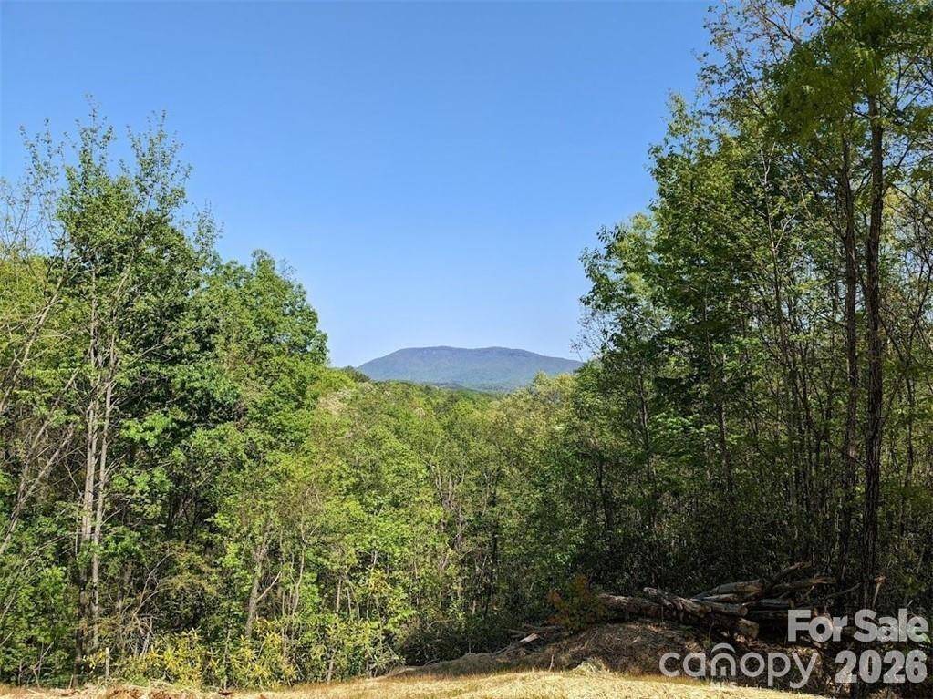 171 Nuthatch LN #C-30, Black Mountain, NC 28711
