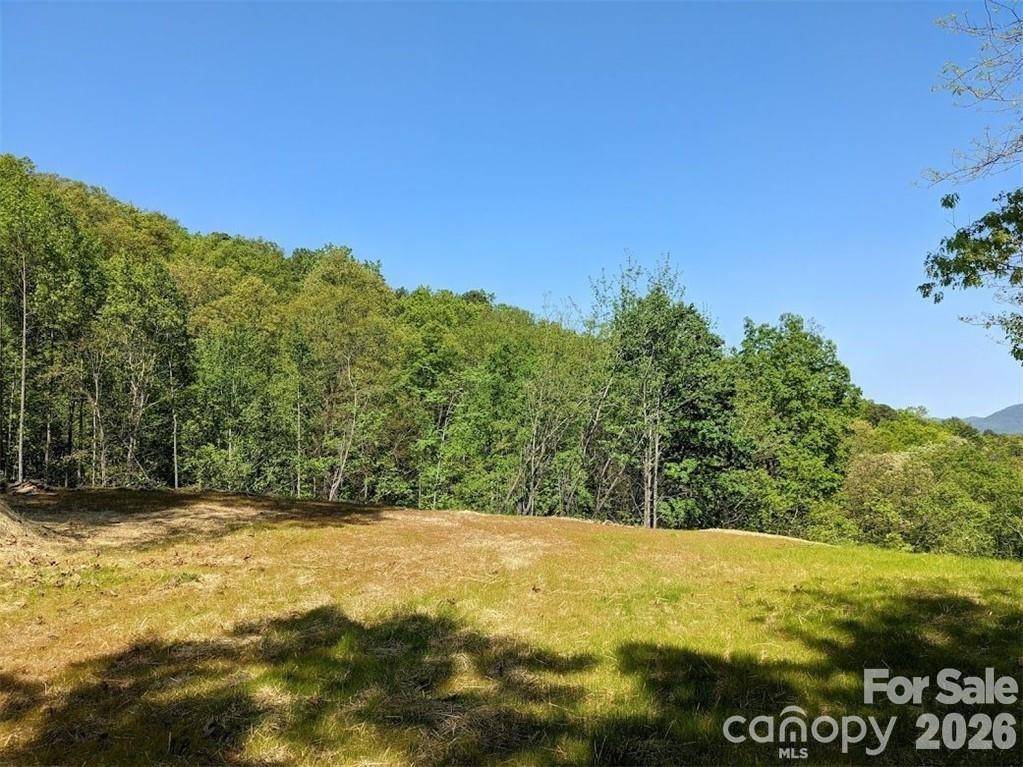 171 Nuthatch LN #C-30, Black Mountain, NC 28711