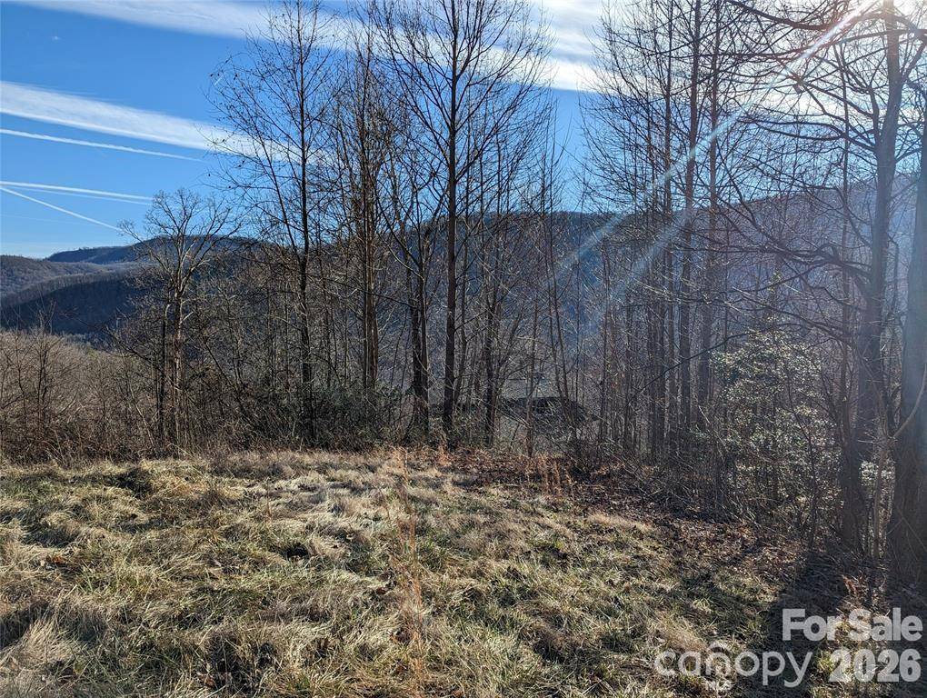117 Ironwood LN #C-20, Black Mountain, NC 28711