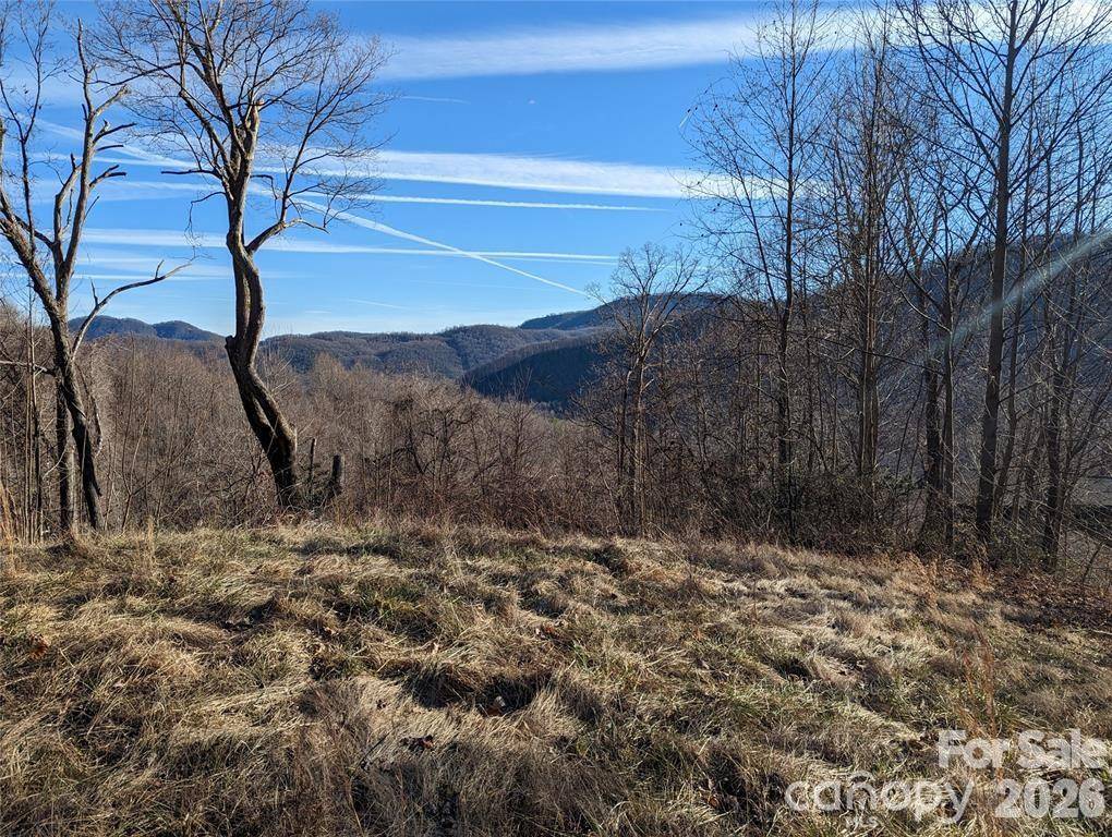 117 Ironwood LN #C-20, Black Mountain, NC 28711