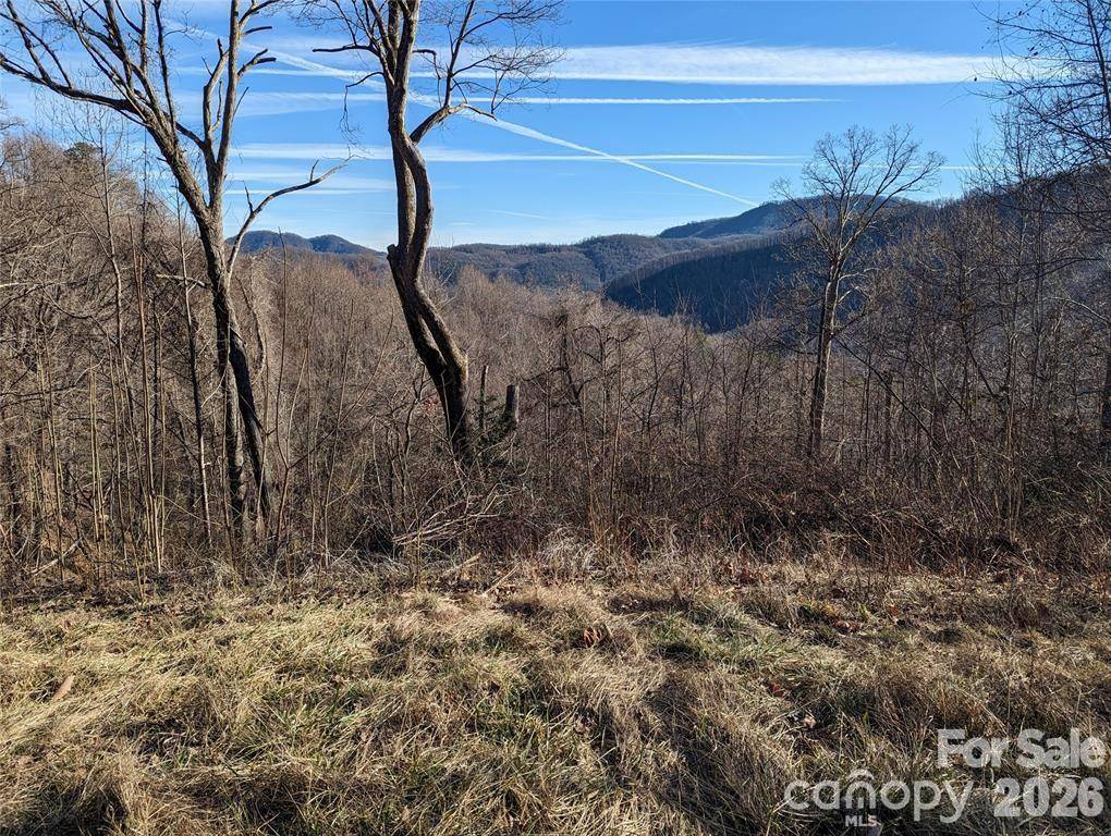 117 Ironwood LN #C-20, Black Mountain, NC 28711