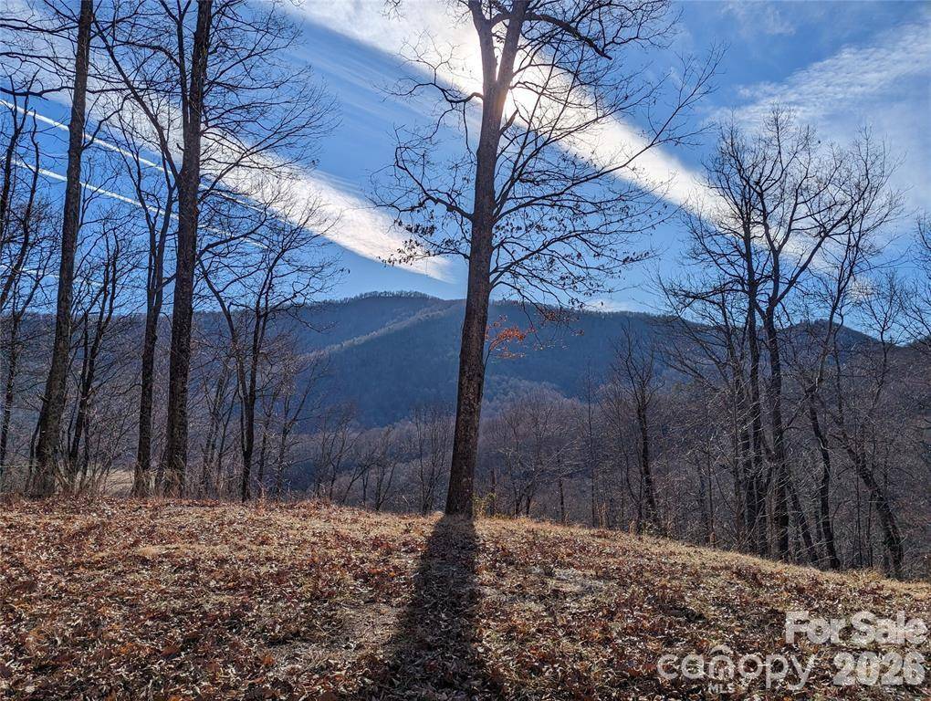 367 Kestrel LN #T-85, Black Mountain, NC 28711