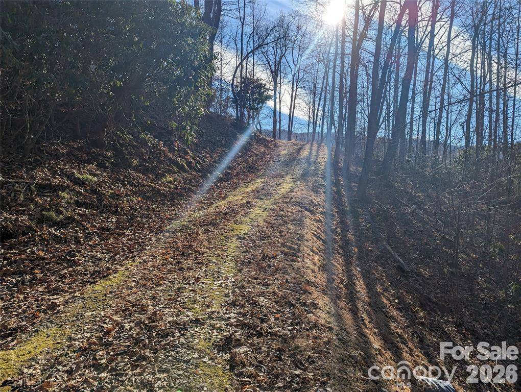367 Kestrel LN #T-85, Black Mountain, NC 28711