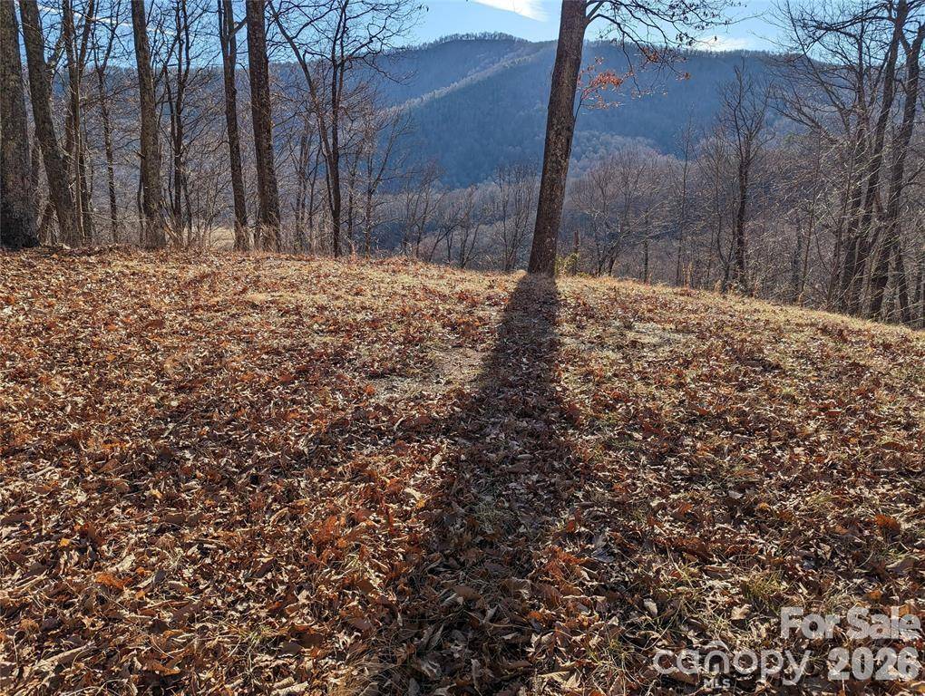 367 Kestrel LN #T-85, Black Mountain, NC 28711