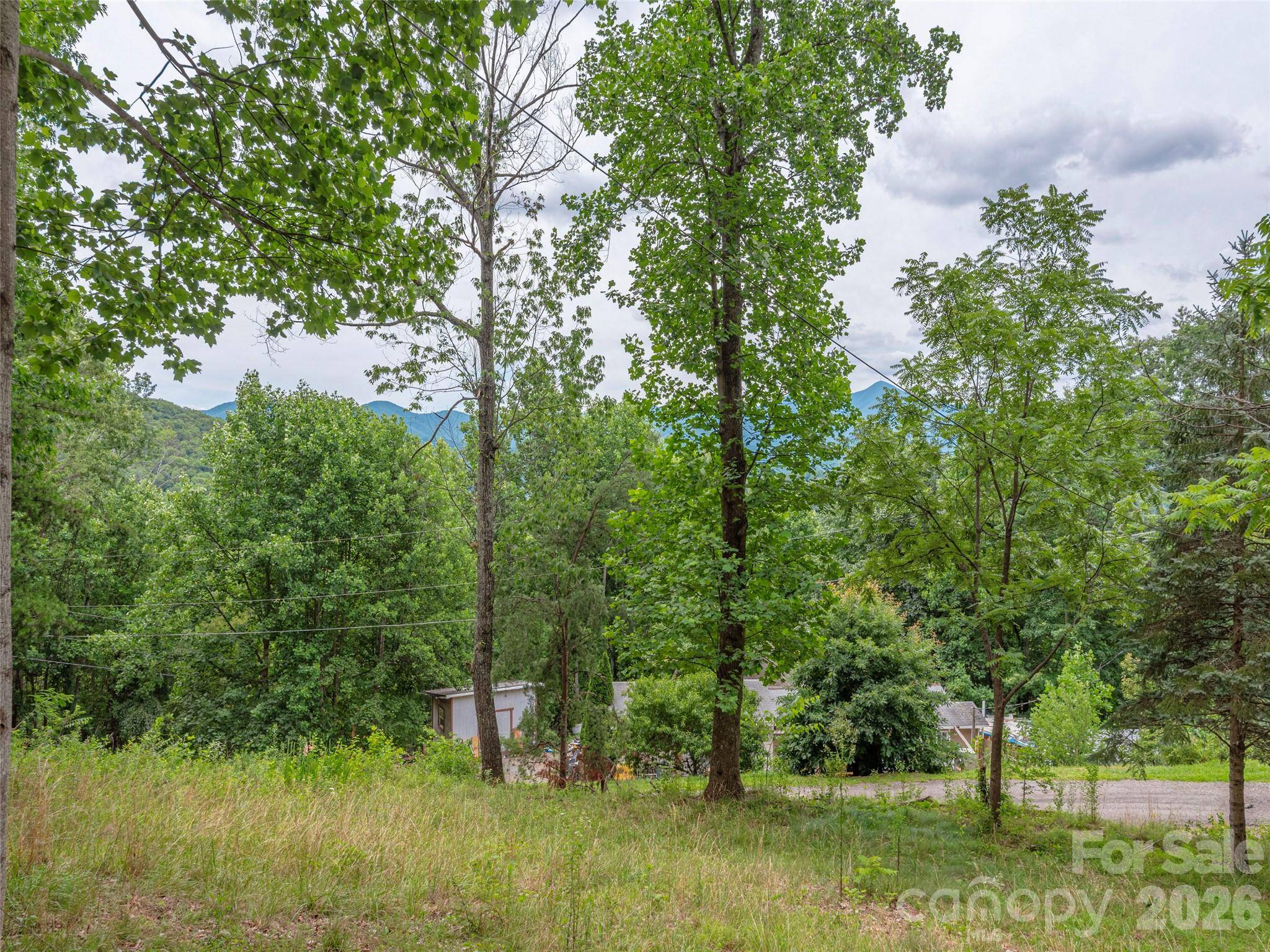 87 Holly Ridge RD, Candler, NC 28715