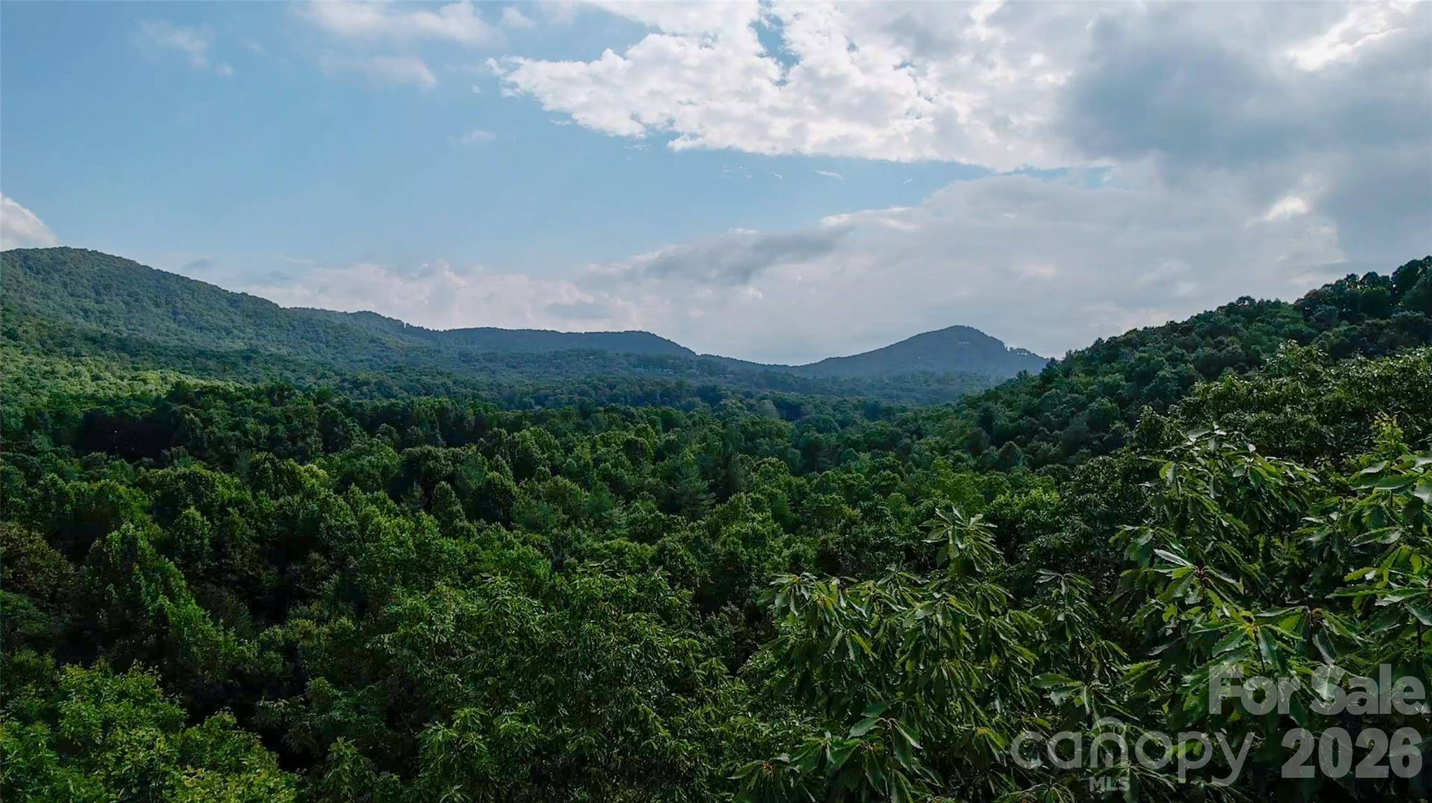 724 Streamside DR, Arden, NC 28704