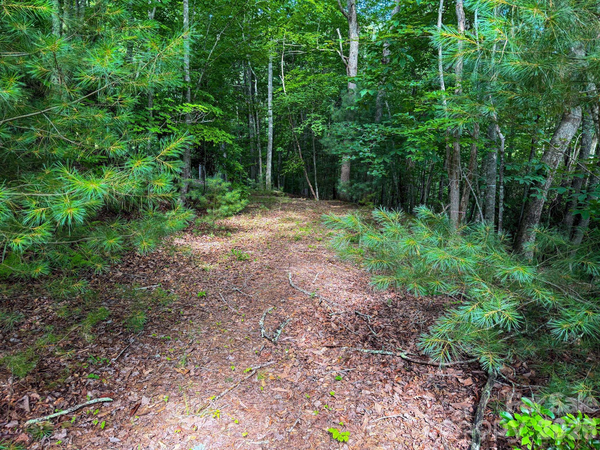 724 Streamside DR, Arden, NC 28704