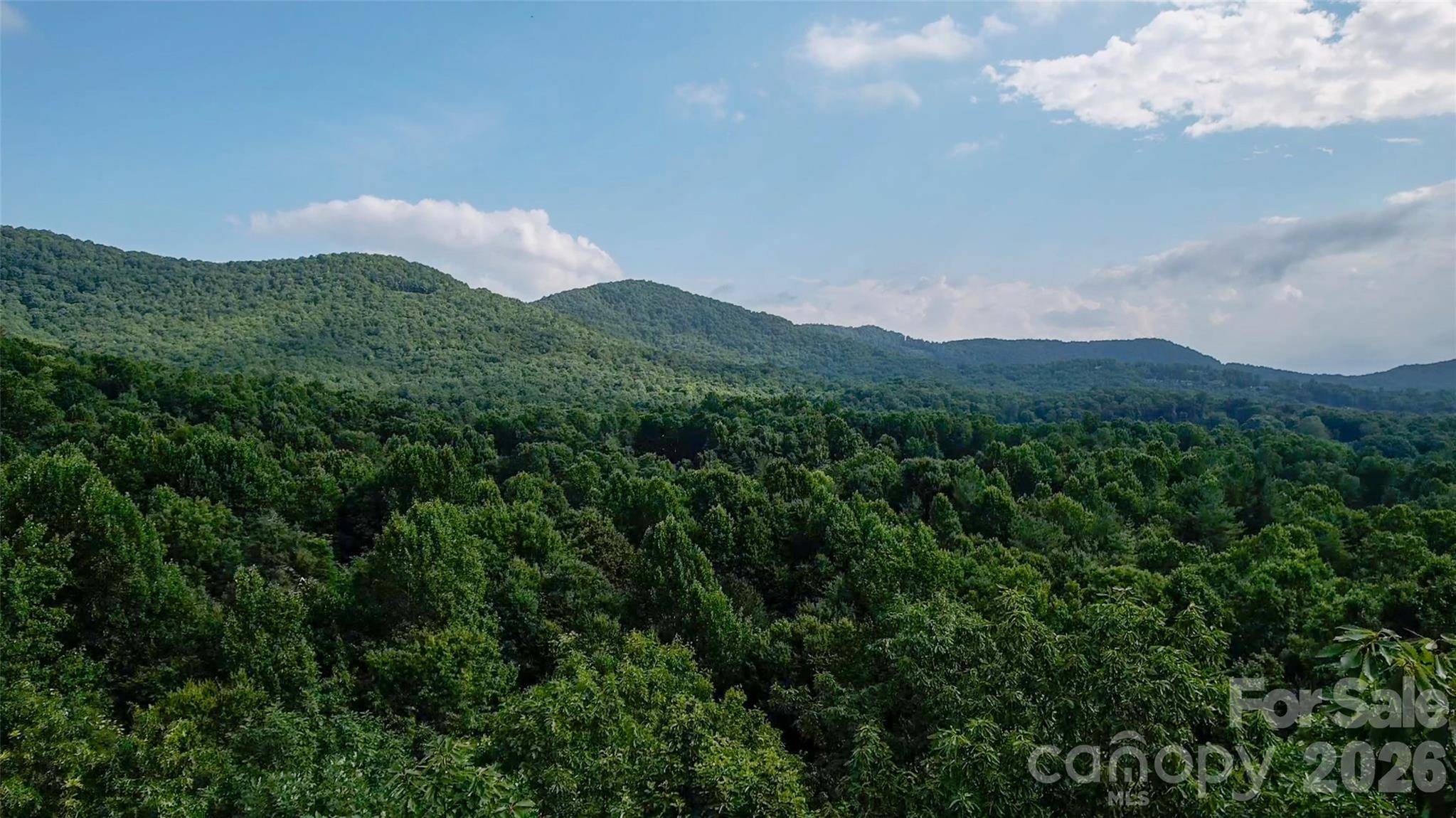 724 Streamside DR, Arden, NC 28704