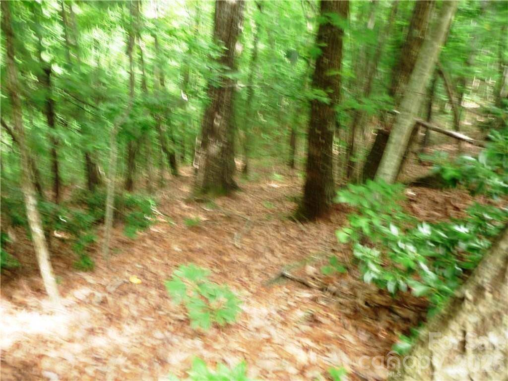 360 Kenmure DR #4, Flat Rock, NC 28731