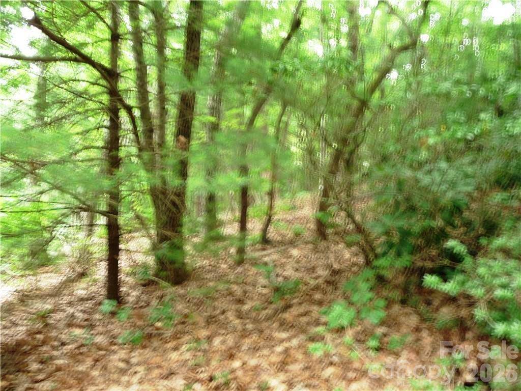 360 Kenmure DR #4, Flat Rock, NC 28731