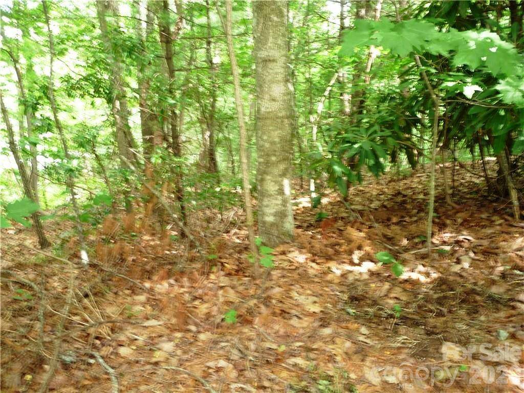 360 Kenmure DR #4, Flat Rock, NC 28731