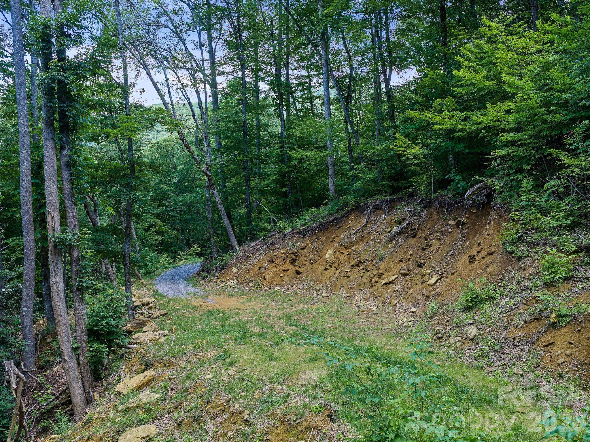 000 Ogles Gap RD, Burnsville, NC 28714