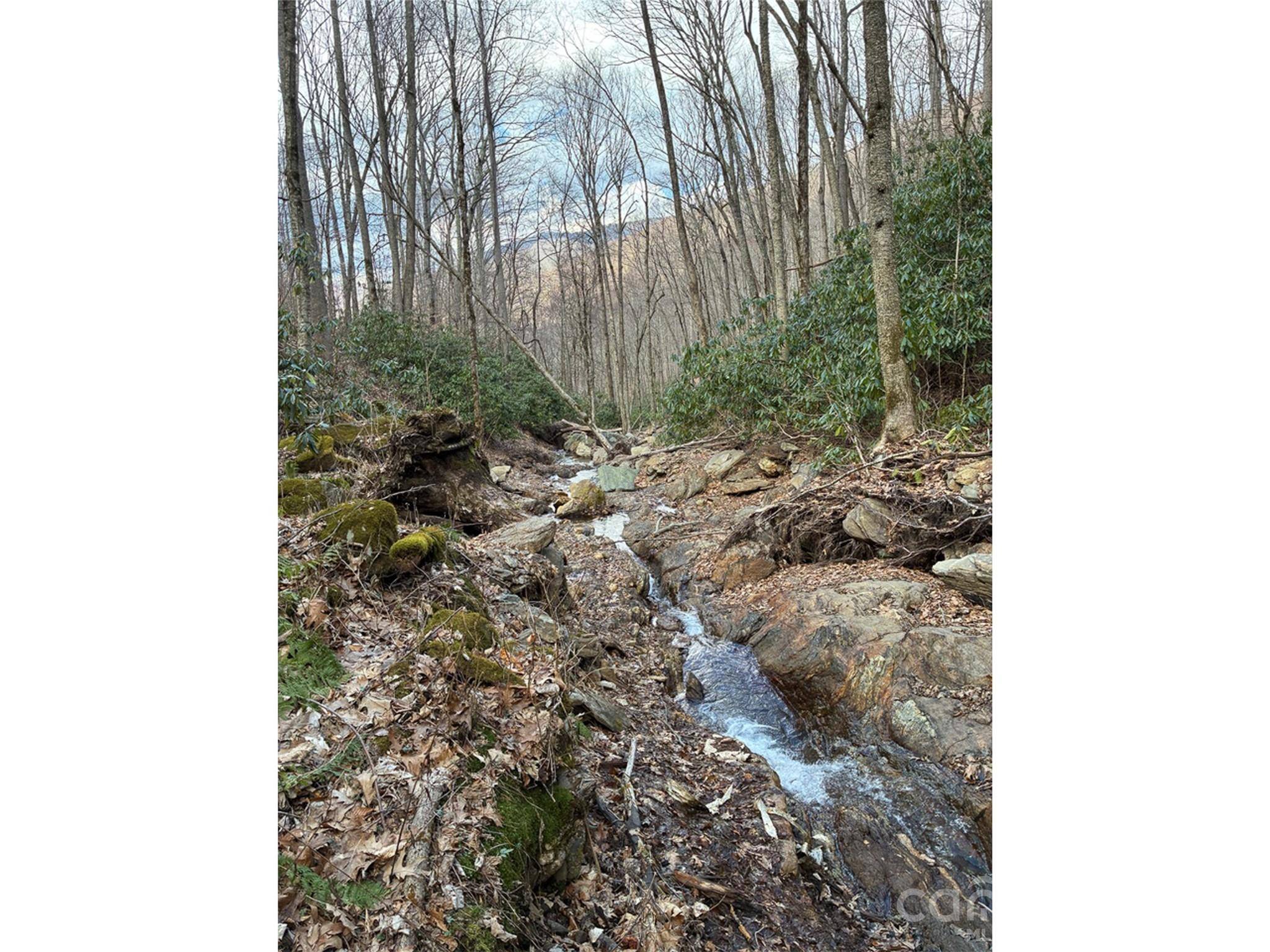 000 Ogles Gap RD, Burnsville, NC 28714