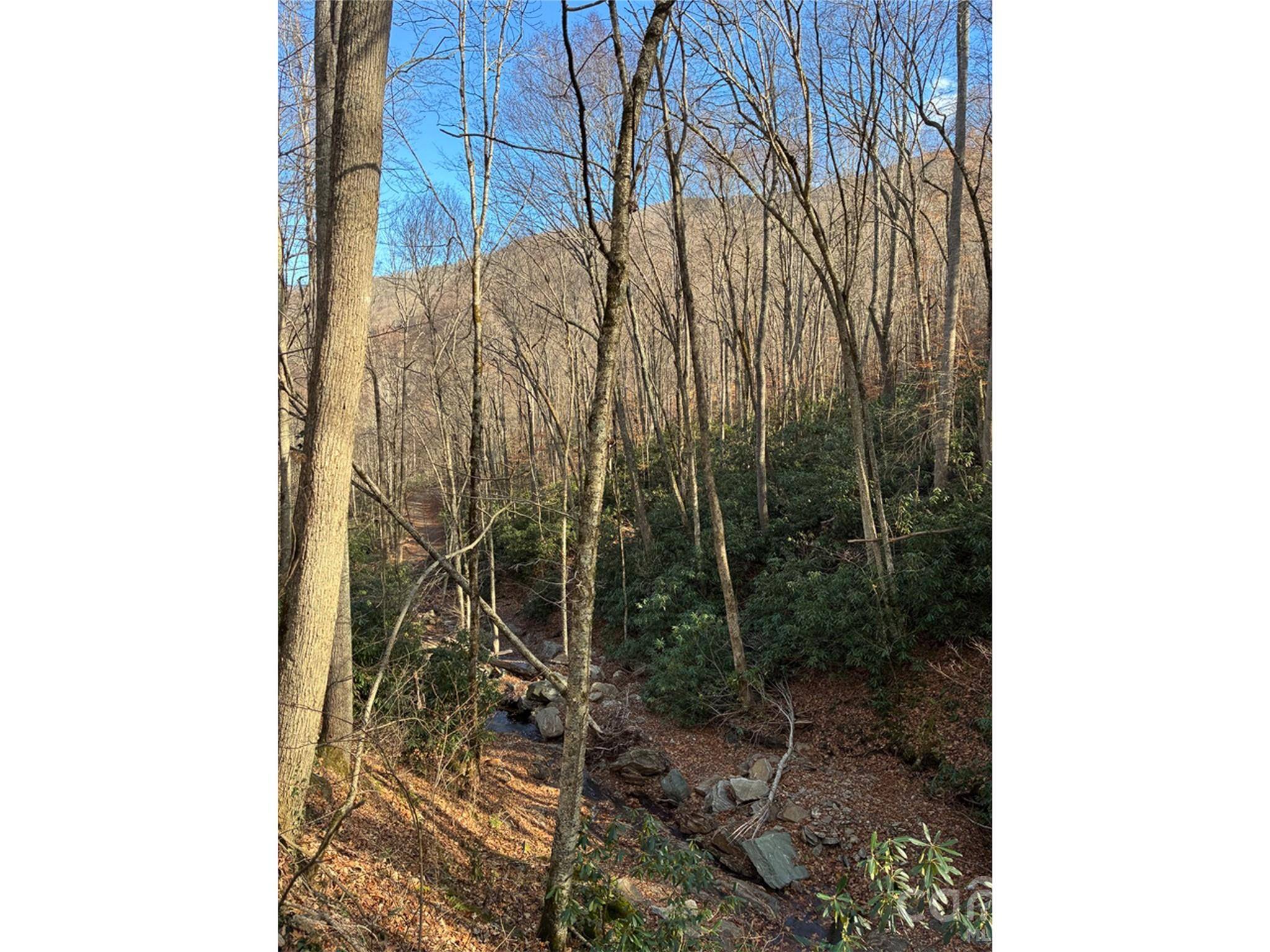 000 Ogles Gap RD, Burnsville, NC 28714