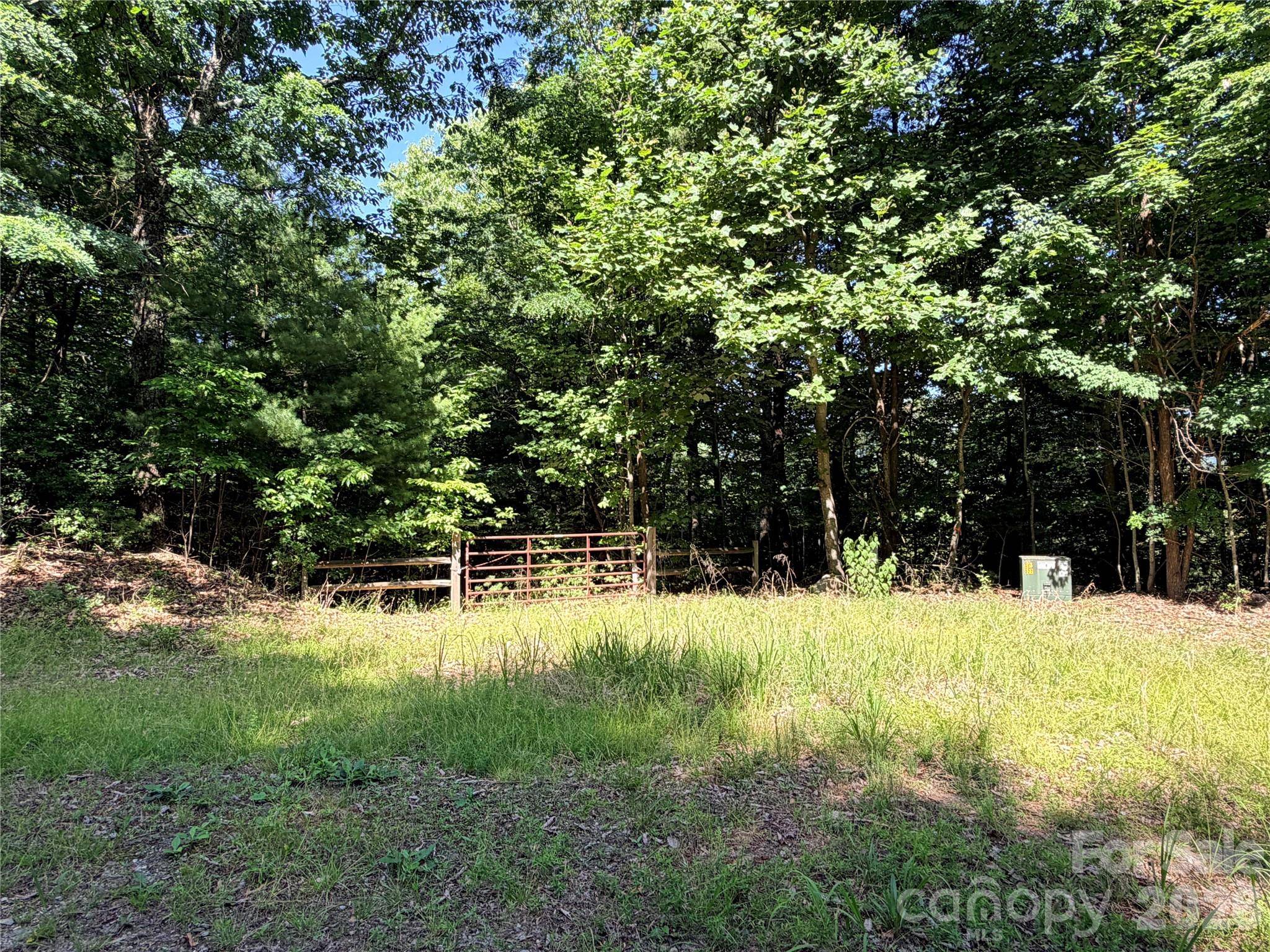 TBD Blue Rock RD #171 & 172B, Purlear, NC 28665