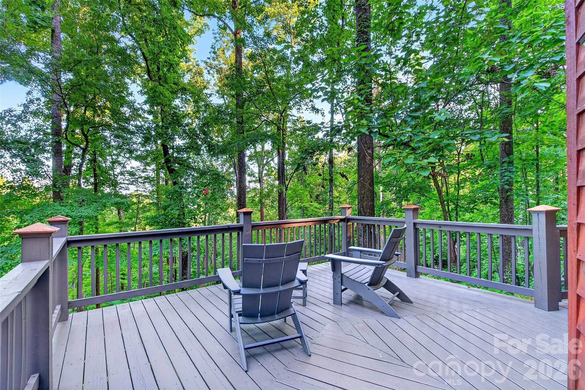 1506 Mckenzie WAY S, Old Fort, NC 28762