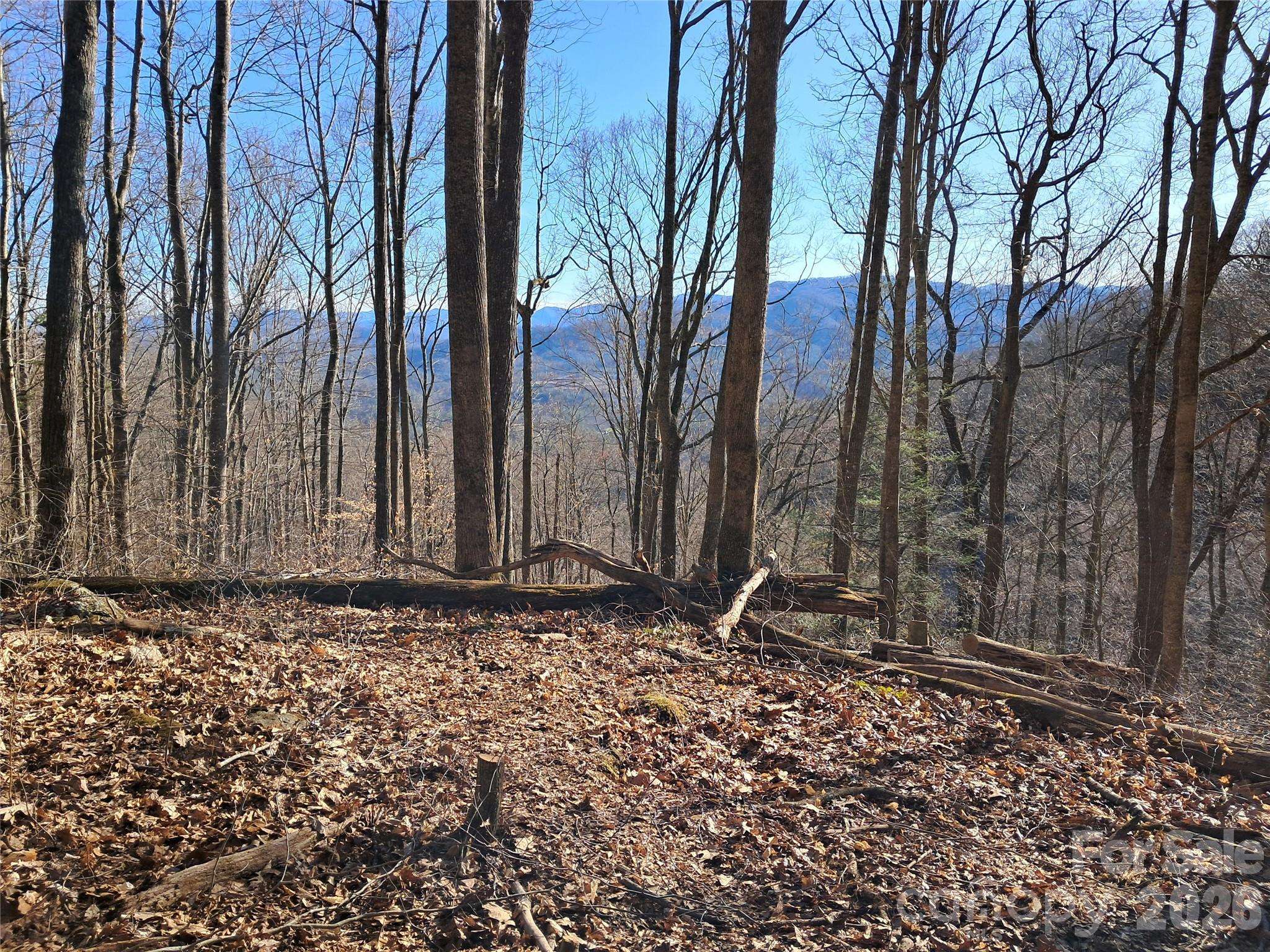 9999 Off Hurricane Ridge TRCE, Clyde, NC 28721