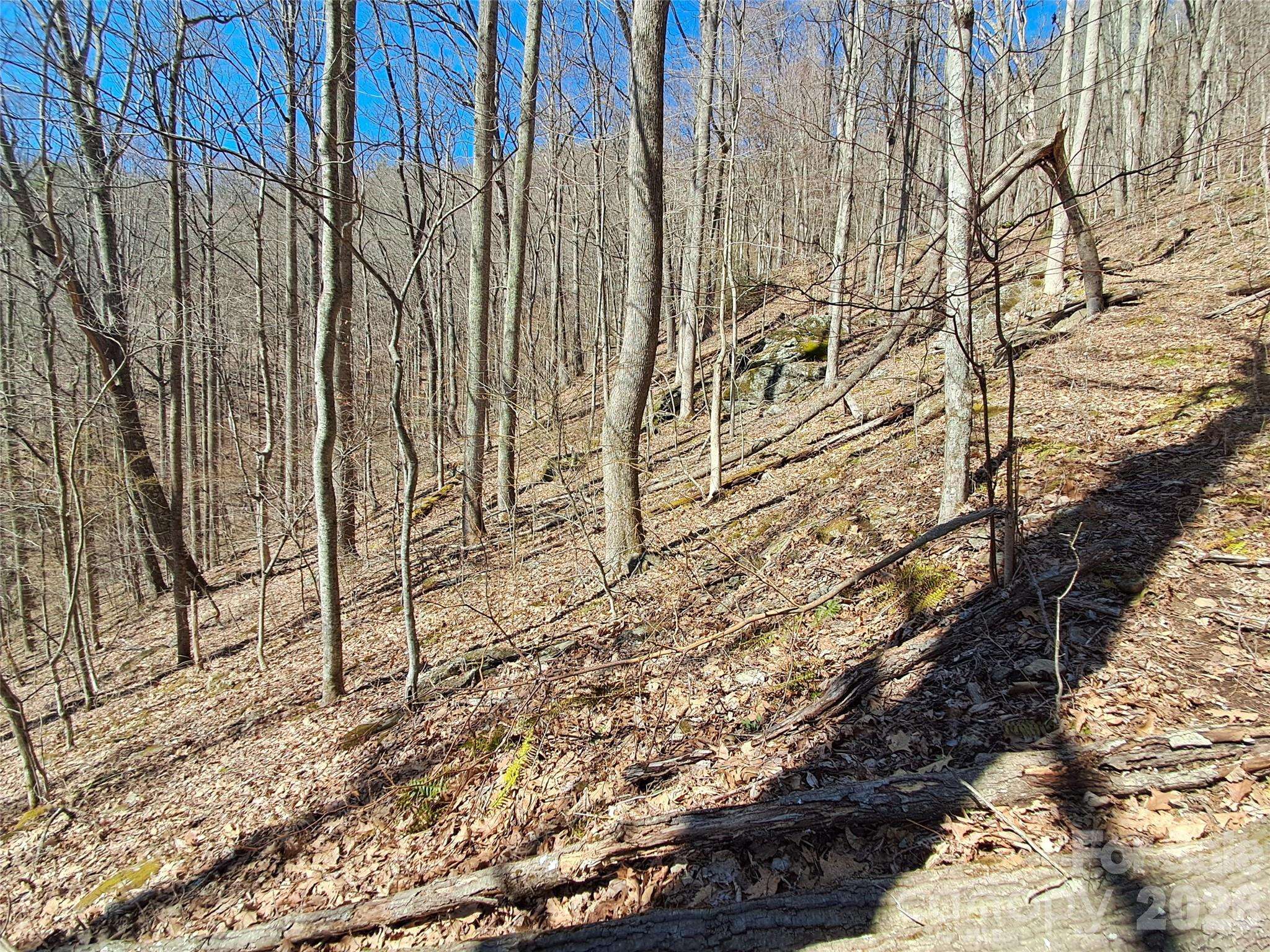 9999 Off Hurricane Ridge TRCE, Clyde, NC 28721