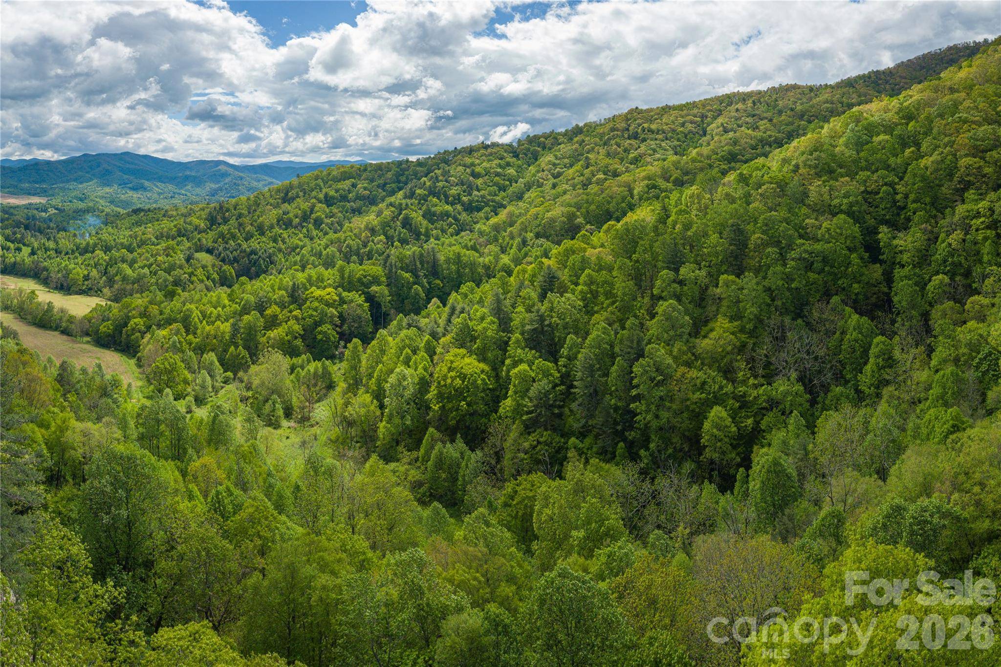 9999 Off Hurricane Ridge TRCE, Clyde, NC 28721