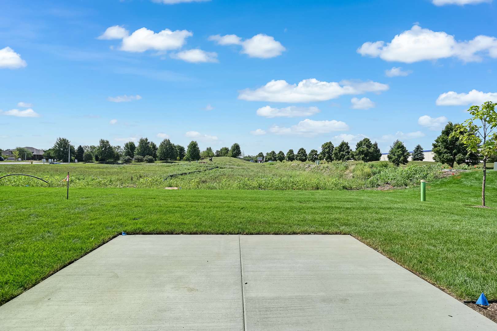14147 S Sheffield DR #52, Homer Glen, IL 60491